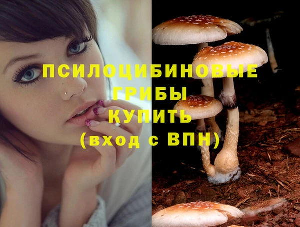 наркотики Няндома